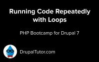 Loops Loops