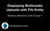 Multimedia Field Types Multimedia Field Types