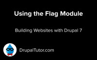 Flag Module Flag Module
