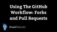 The GitHub Workflow: Forks and Pull Requests The GitHub Workflow: Forks and Pull Requests