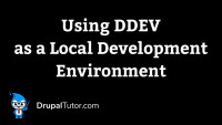 Using DDev as a Local Development Environment